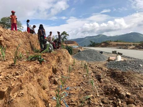 Lailenpi community planting cash crops on excavated soil around the airstrip